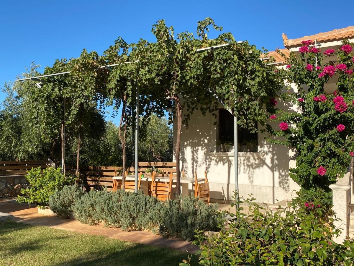 Villa Serenity Agia Marina  Ngoại thất bức ảnh