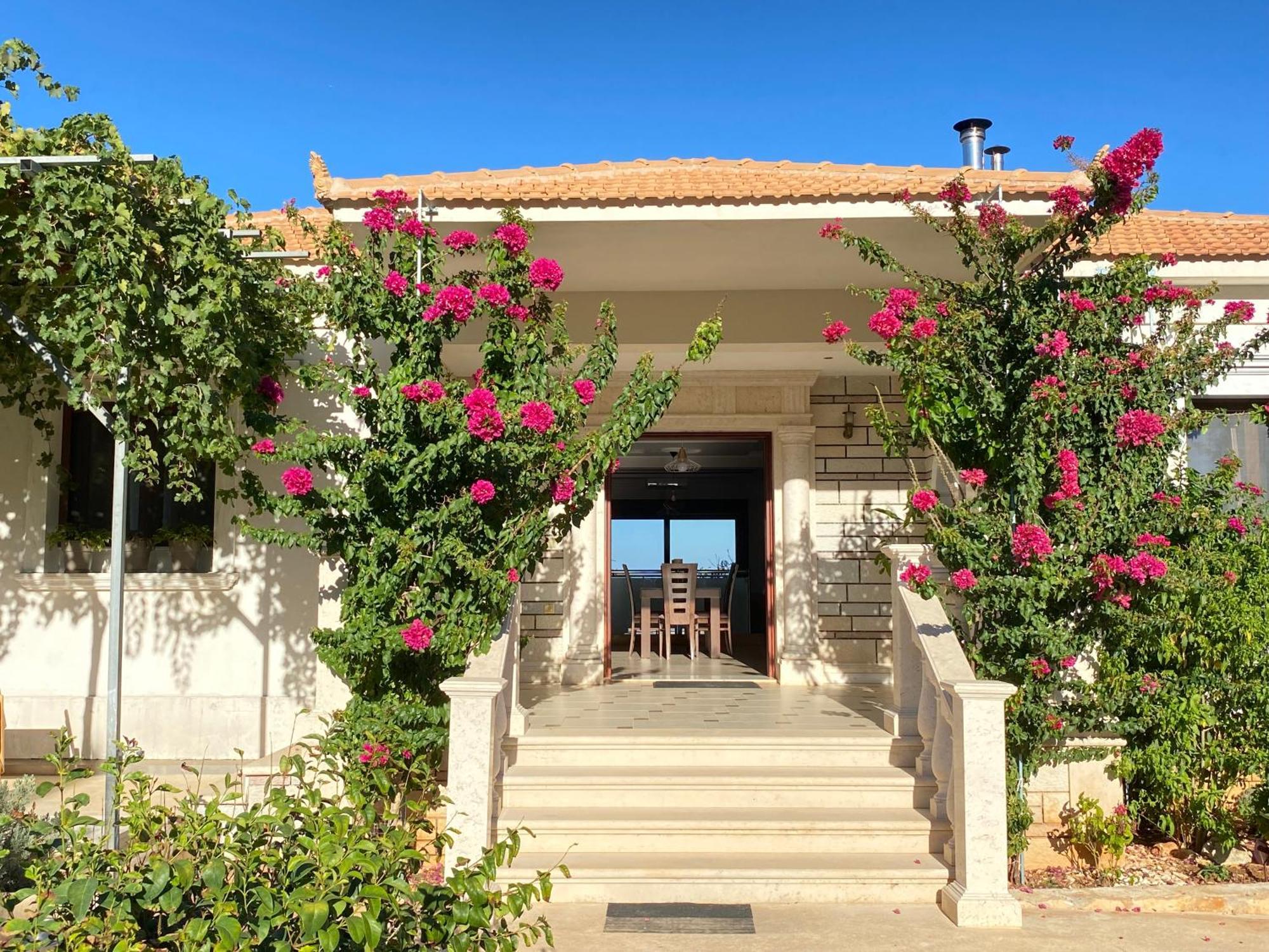 Villa Serenity Agia Marina  Ngoại thất bức ảnh